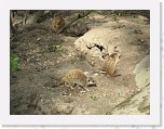 Dierentuin Burgers  Zoo 003 * 3648 x 2736 * (5.93MB)